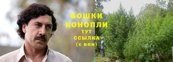 альфа пвп Куйбышев
