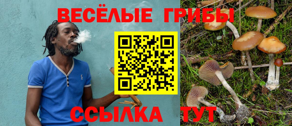 Псилоцибиновые грибы Cubensis Волгодонск
