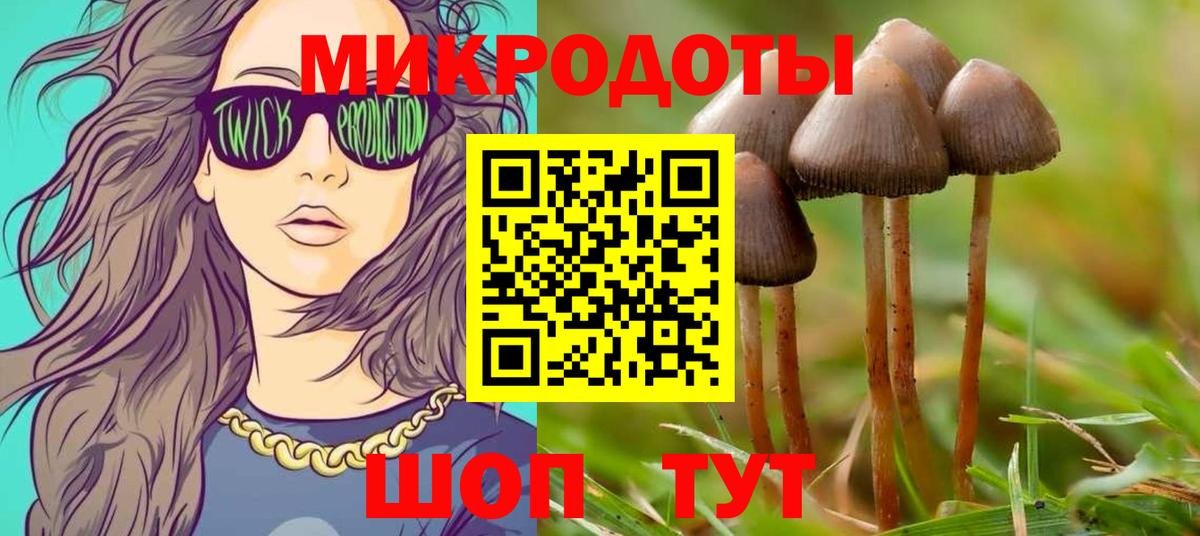 Псилоцибиновые грибы GOLDEN TEACHER  Вход с VPN  Волгодонск 